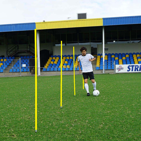 KPI Agility Poles